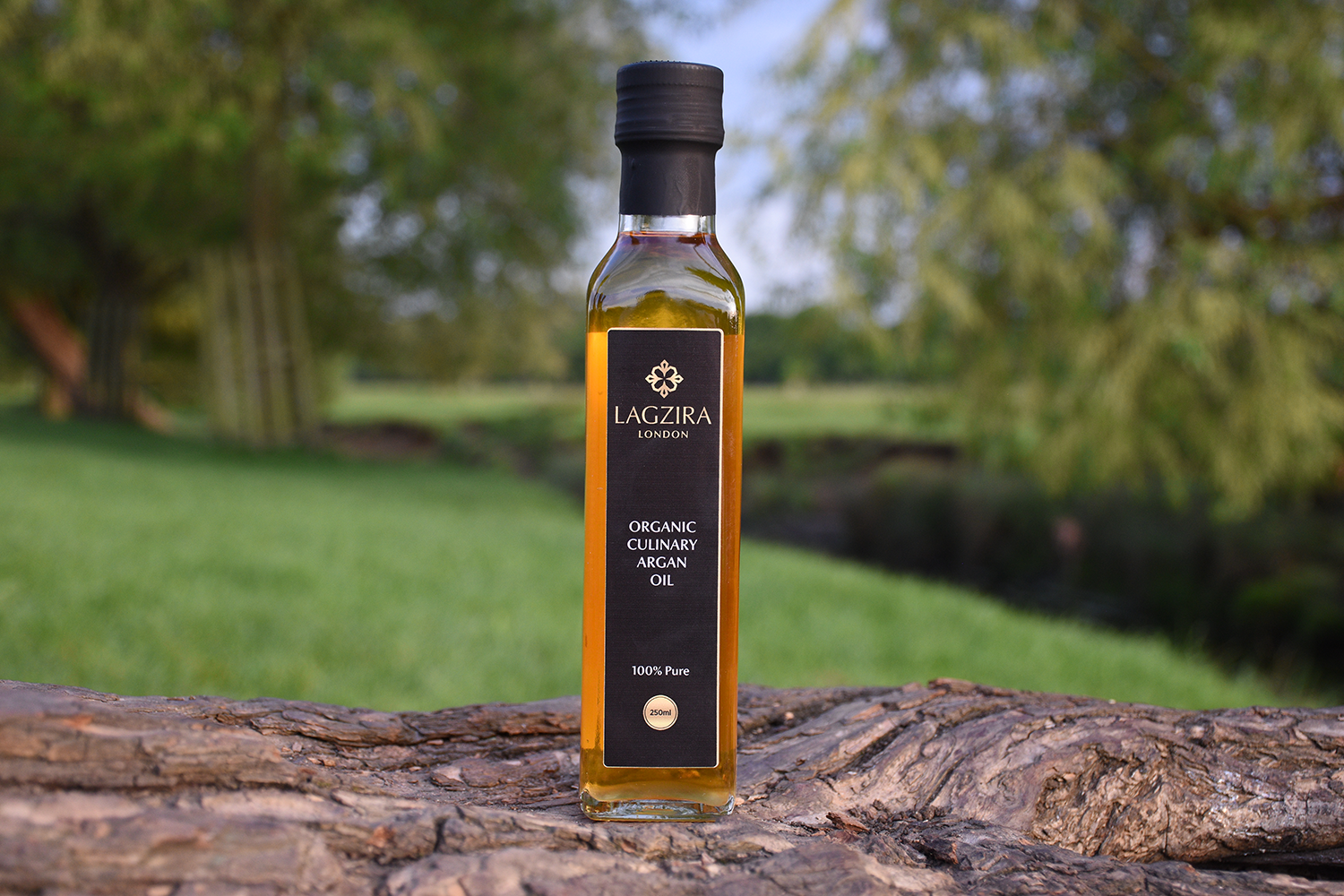 Why Should You Start Taking Culinary Argan Oil Right Now?